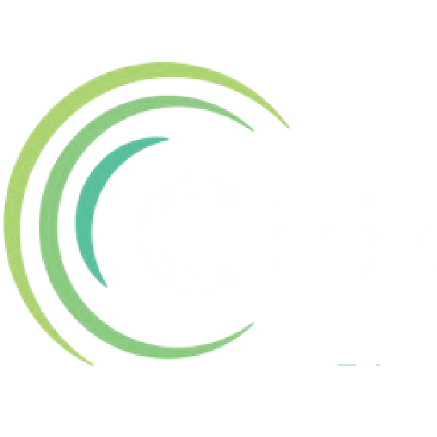 Council for Economic Education logo